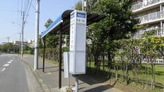 「秋津小学校」バス停留所