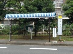 「秋津小学校」バス停留所