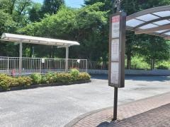 「田園調布学園大学」バス停留所