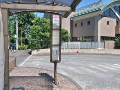 「田園調布学園大学」バス停留所