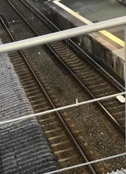 交野市駅