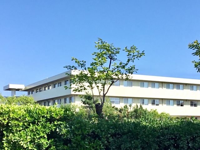 つるみね