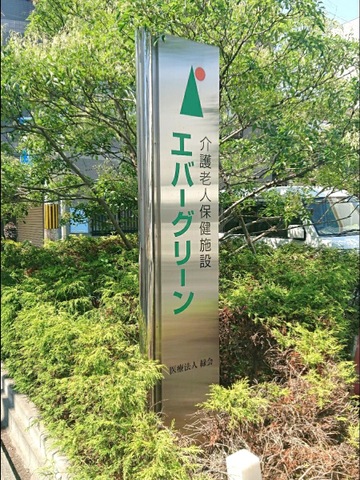 エバーグリーン