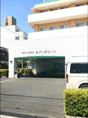 エバーグリーン