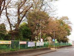 今泉小学校
