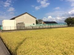 上林小学校