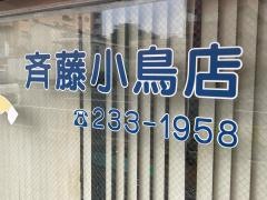 斎藤小鳥店