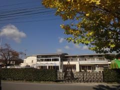 カトリック清心幼稚園