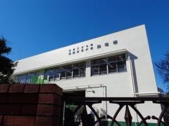相模女子大学幼稚部
