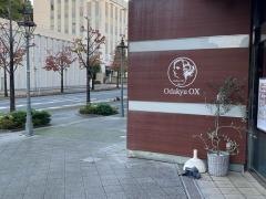 ＯｄａｋｙｕＯＸ万福寺店