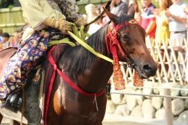鶴岡八幡宮流鏑馬神事