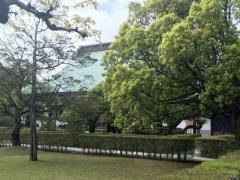 見性寺