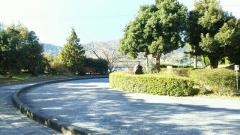 赤坂小学校