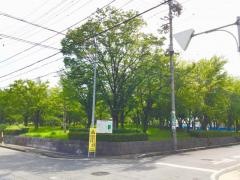 細木公園