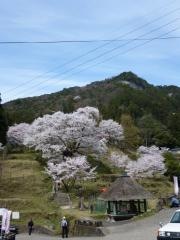 仏隆寺