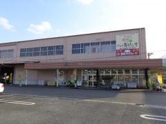ＪＡにじ吉井支店