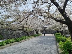 福岡城跡