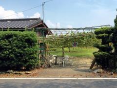 中野睦男巨峰園