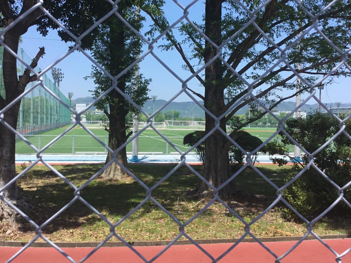 総合運動場