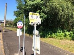 「柏原」バス停留所