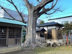 八坂神社