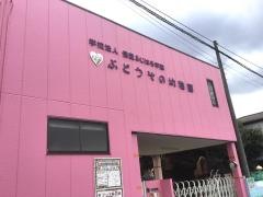 ぶどうぞの幼稚園