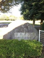 後谷津公園