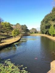 後谷津公園