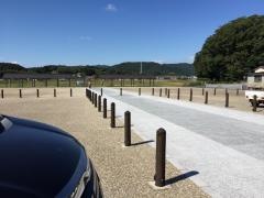 伊雑宮御田植祭