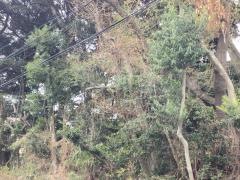 多賀北緑地