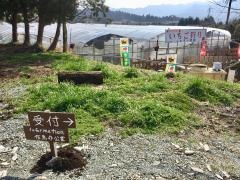 南阿蘇ふれあい農園