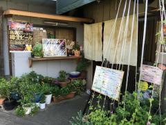 ごっつ庵