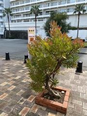 「熱海港」バス停留所