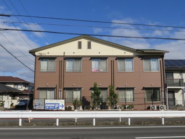 シルバーピアーズ共生