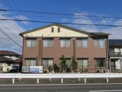 シルバーピアーズ共生