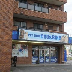 ペットショップCoo&RIKU　所沢店
