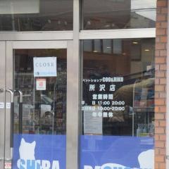 ペットショップＣｏｏ&ＲＩＫＵ　所沢店