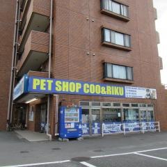 ペットショップＣｏｏ&ＲＩＫＵ　所沢店