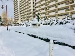 光星緑地