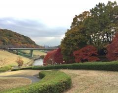 若宮公園