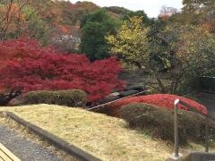 若宮公園