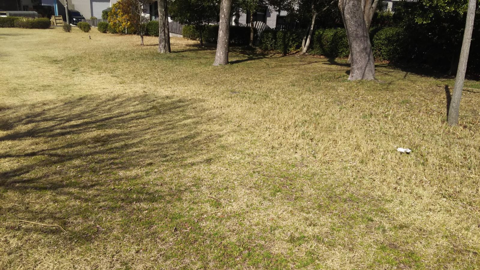 天白第三緑化木公園