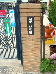 白ゆり幼稚園