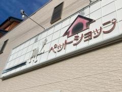 ロペ