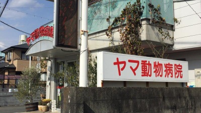ドッグメディカル ヤマ動物病院
