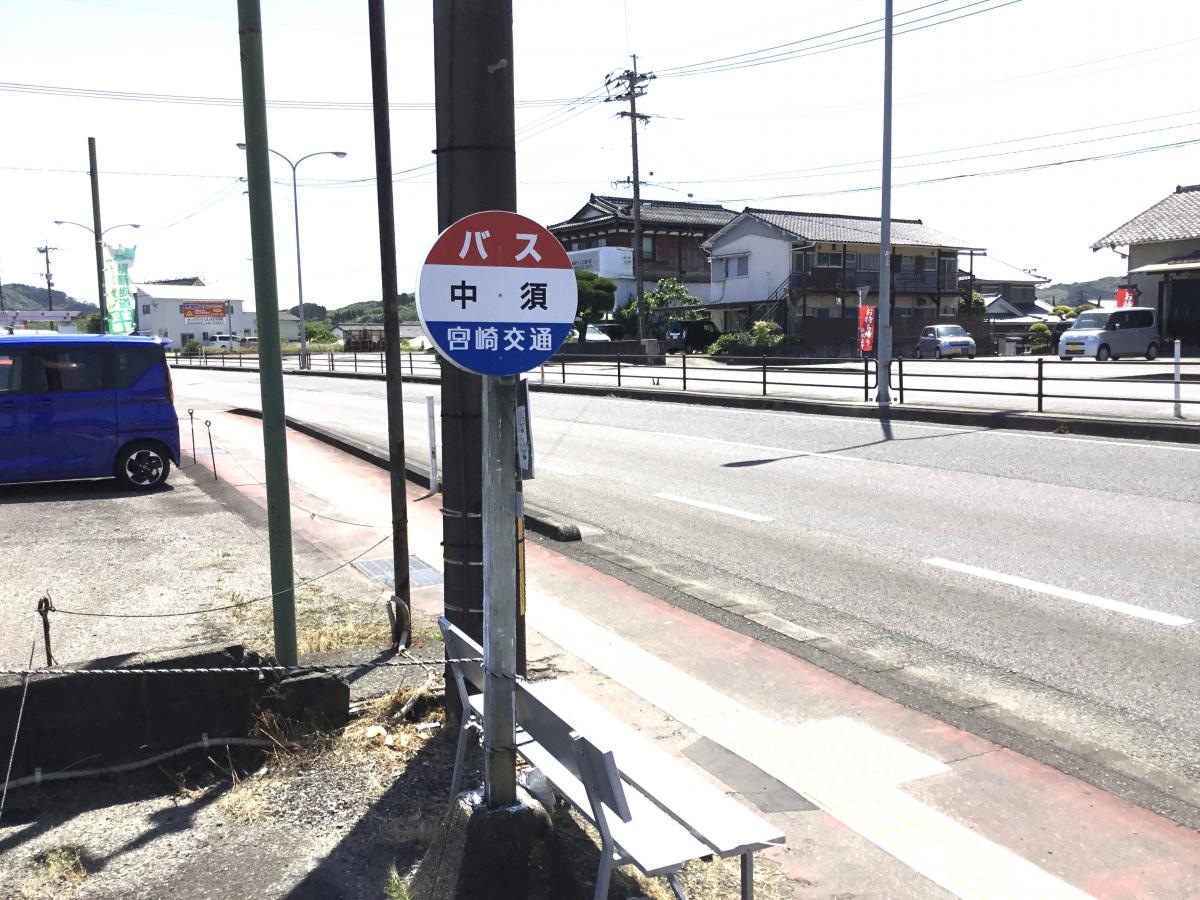 全景です｡