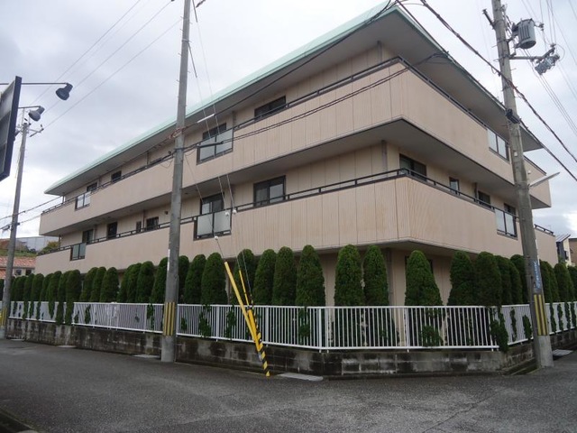 ももの花