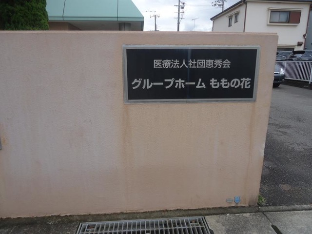 ももの花