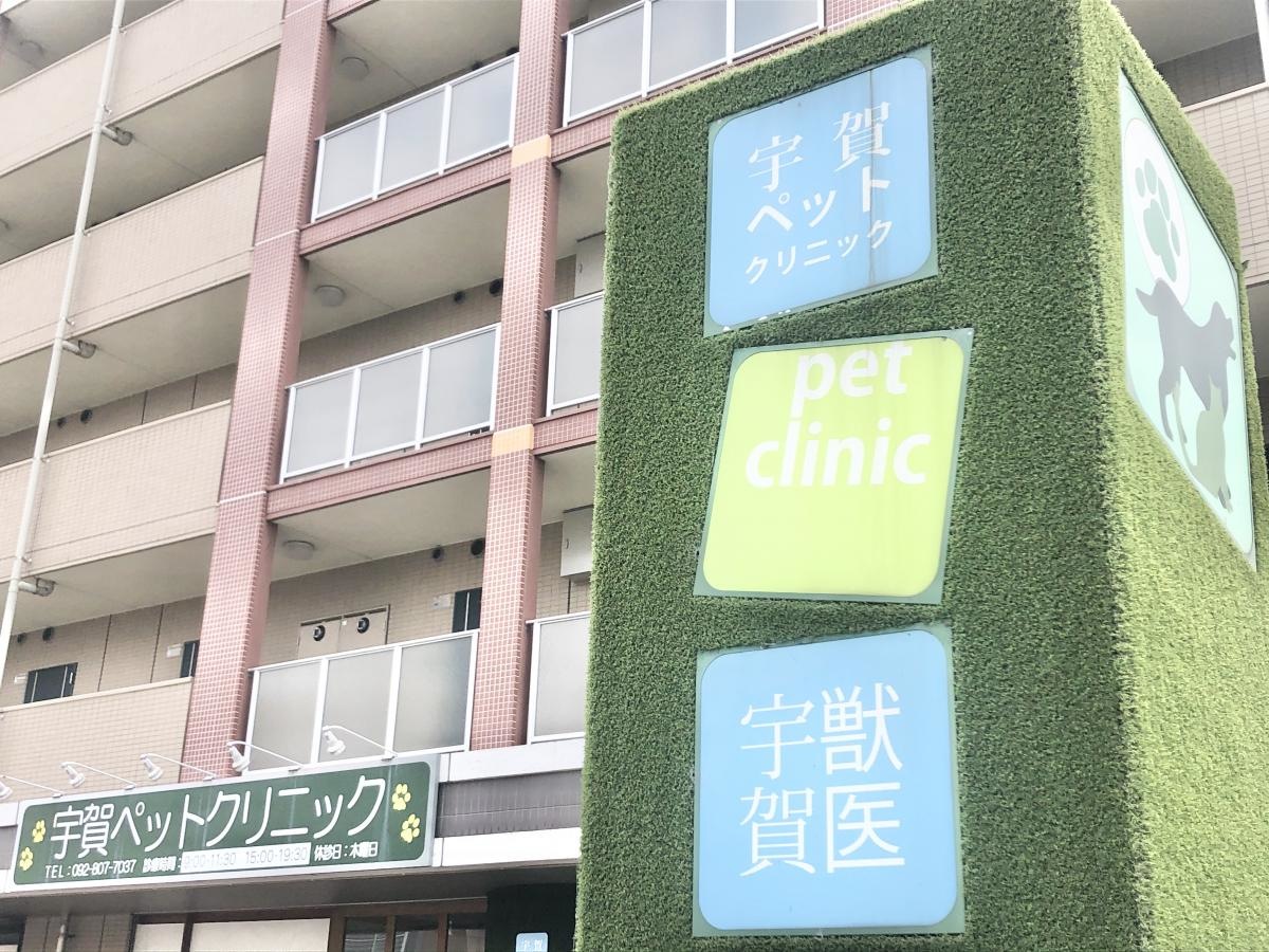 宇賀ペットクリニック
