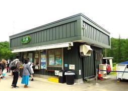 白金青い池